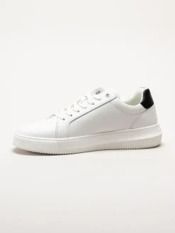 Calvin Klein - SEAMUS 20L - Vita sneakers i skinn