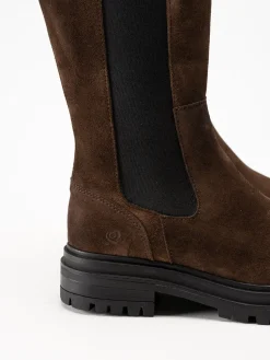 Rosa Negra - Bruna höga resårboots i mocka